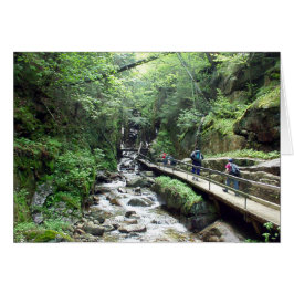 樋-カード--に近づきます