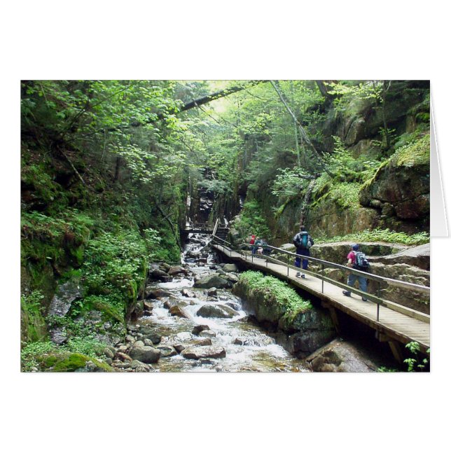 樋-カード--に近づきます (正面横)