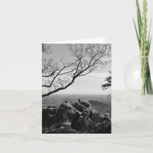 標準はがき上の森林景観写真 カード (正面)