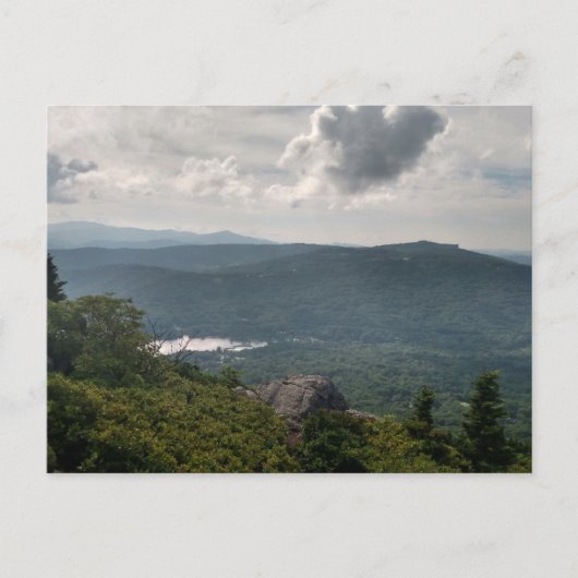 標準はがき上の森林景観写真 ポストカード (正面)