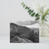 標準はがき上の森林景観写真 ポストカード (スタンド正面)