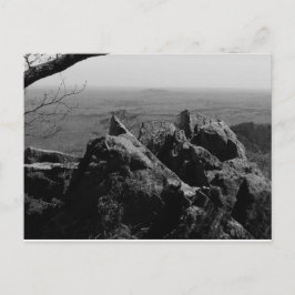 標準はがき上の森林景観写真 ポストカード