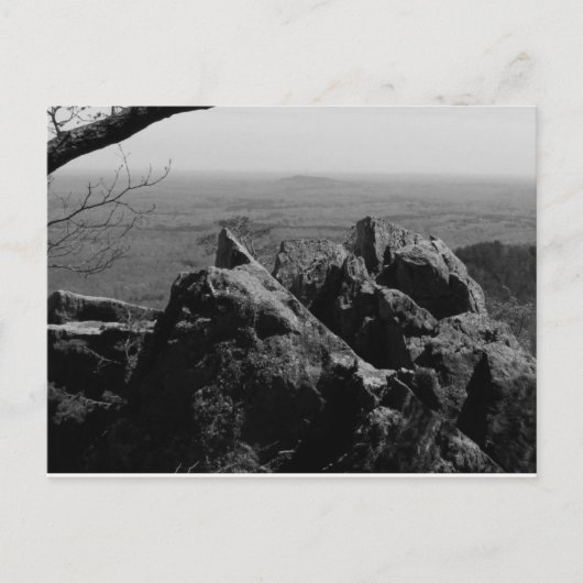 標準はがき上の森林景観写真 ポストカード (正面)