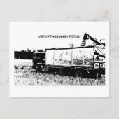 標準はがき ポストカード (正面)