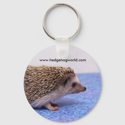 標準キーチェーン キーホルダー (正面)