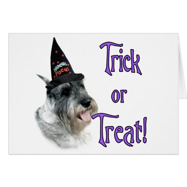 標準シュナウツァーのトリック (正面横)