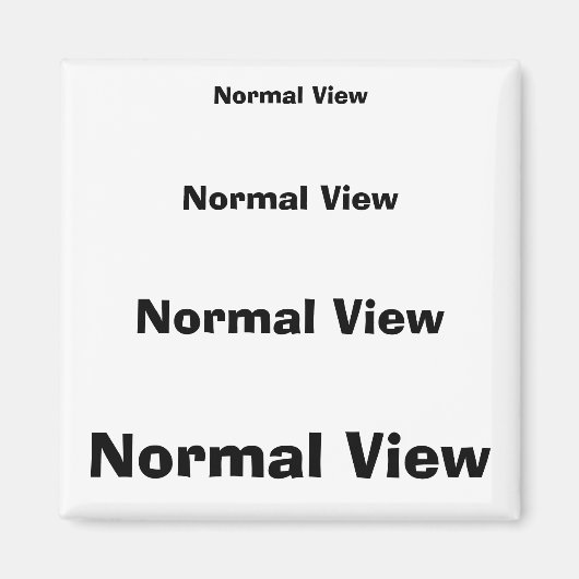 標準ビュー マグネット (正面)