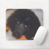 標準プードルのマウスパッド マウスパッド (マウス)