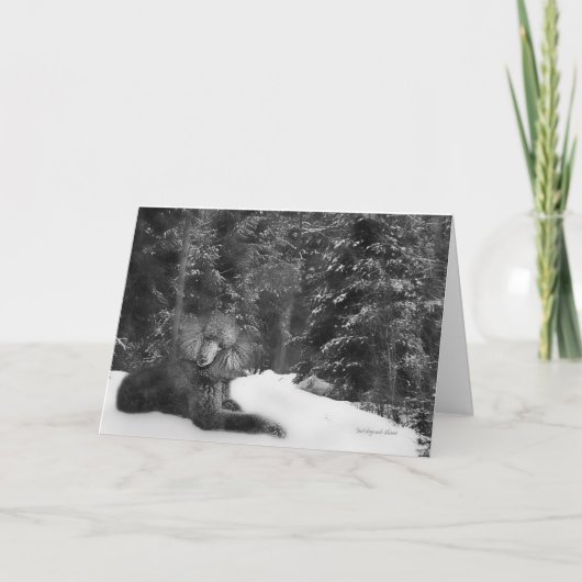 標準プードルカード シーズンカード (正面)