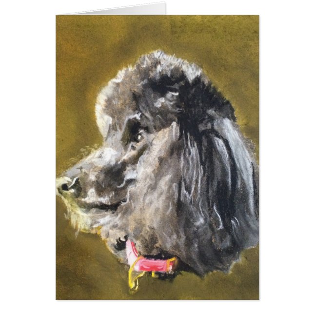 標準プードル (正面)