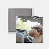 標準プードル3 マグネット (正面/裏面)