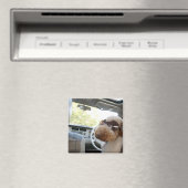 標準プードル3 マグネット (インサイチュ (食洗機))