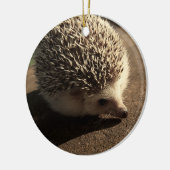 標準的なハリネズミのオーナメント セラミックオーナメント (左)