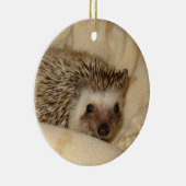 標準的なハリネズミの顔のオーナメント セラミックオーナメント (右)