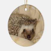 標準的なハリネズミの顔のオーナメント セラミックオーナメント (左)