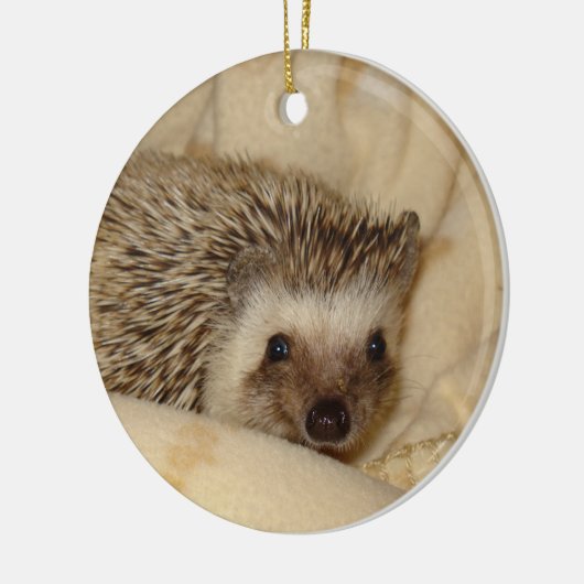 標準的なハリネズミの顔のオーナメント セラミックオーナメント (左)