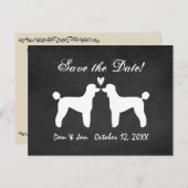 標準的なプードルシャルボードウェディング日付を保存 案内ポストカード (正面/裏面)