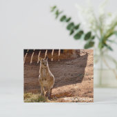 標準的なポストカード ポストカード (スタンド正面)