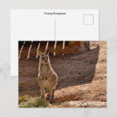 標準的なポストカード ポストカード (正面/裏面)