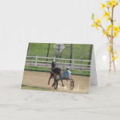 標準競走馬 カード (黄色い花)