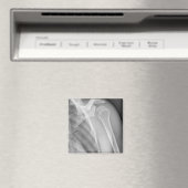 標準肩。健康X線離れ マグネット (インサイチュ (食洗機))