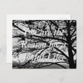 標準自然白黒はがき ポストカード (正面/裏面)