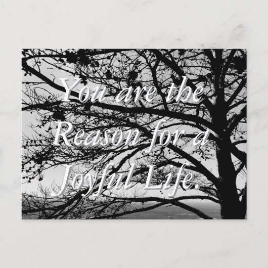 標準自然白黒はがき ポストカード (正面)