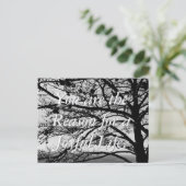 標準自然白黒はがき ポストカード (スタンド正面)