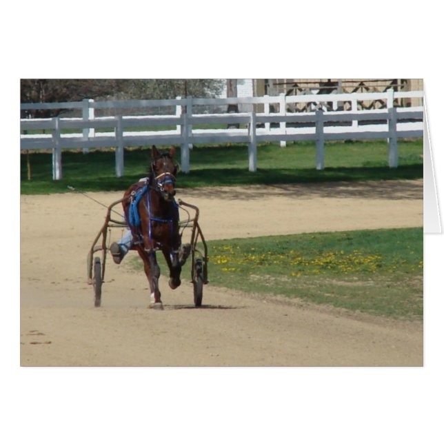 標準飼育 (正面横)