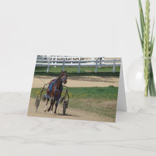 標準 カード (正面)