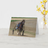 標準 カード (黄色い花)