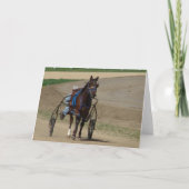 標準 カード (正面)