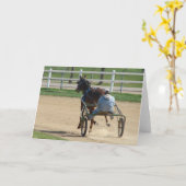 標準 カード (黄色い花)