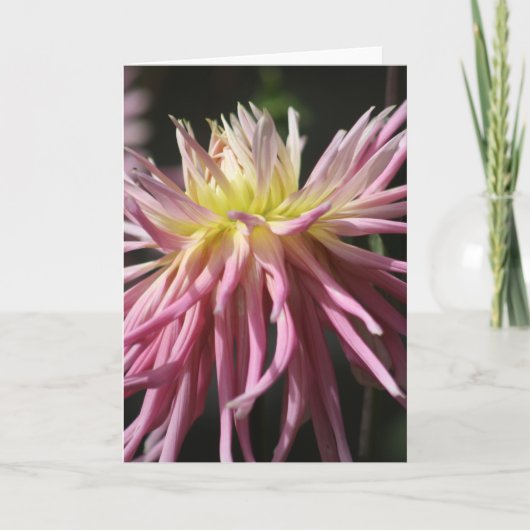 標準、12.7 cm x 17.8 cm折り畳みグリーティングカード カード (正面)