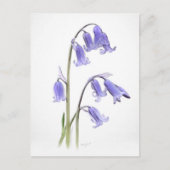 標準、12.7 cm x 17.8 cm折り畳みグリーティングカード ポストカード (正面)