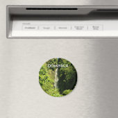 標準、2 1/4インチラウンドマグネット マグネット (インサイチュ (食洗機))