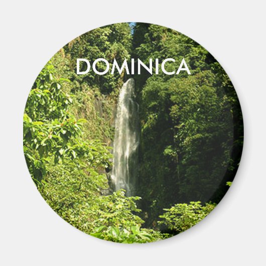 標準、2 1/4インチラウンドマグネット マグネット (正面)