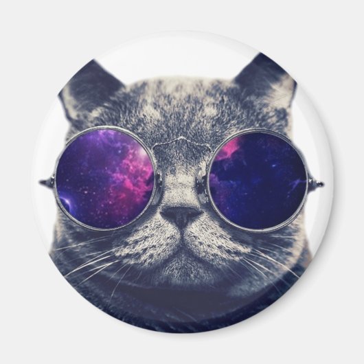 標準、2 1/4インチラウンドマグネット マグネット (正面)