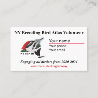 標準、3.5インチx 2.0インチ名刺 名刺