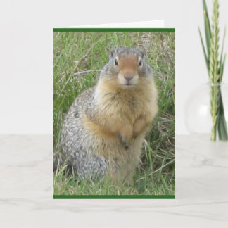 標準、5" x 7"折りたたみグリーティングカード カード