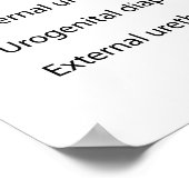 標識された女性の泌尿系 ポスター (角)