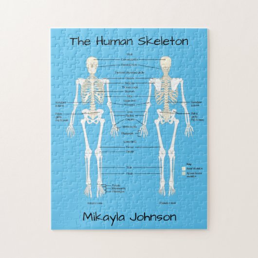 標識ヒト骨格パズル ジグソーパズル (縦)