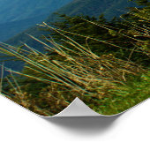 標高アットミッチェル山 ポスター (角)