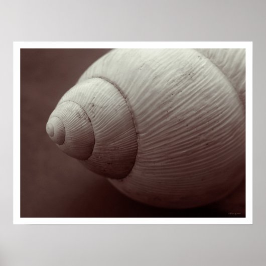 模倣マイル ポスター (正面)