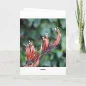 模様と質感の挨拶状 – 木製ドア カード (裏面)