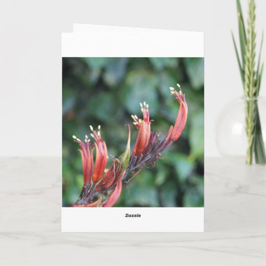 模様と質感の挨拶状 – 木製ドア カード (裏面)