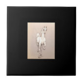 権力の美しい.... タイル (正面)