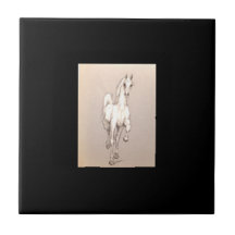 権力の美しい....