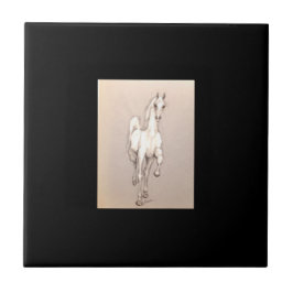 権力の美しい.... タイル