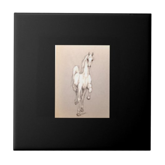 権力の美しい.... タイル (正面)